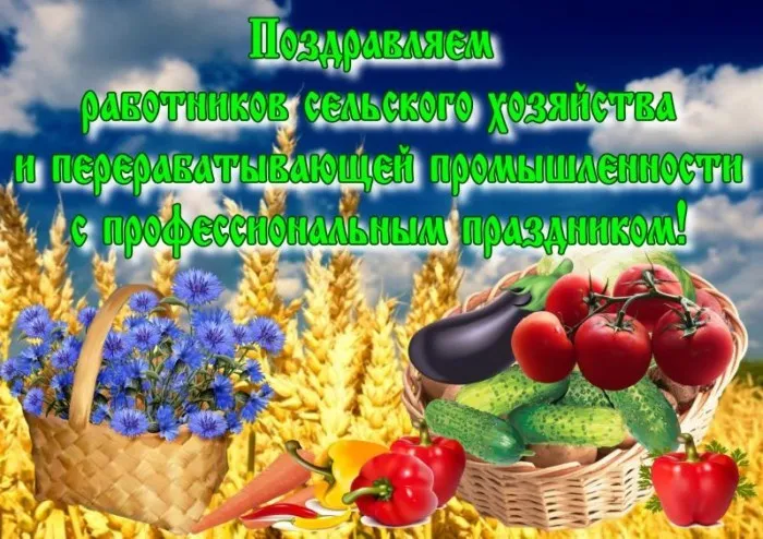 Красивые картинки с Днём работника сельского хозяйства. Картинки с Днем работника сельского хозяйства с надписями и поздравлениями