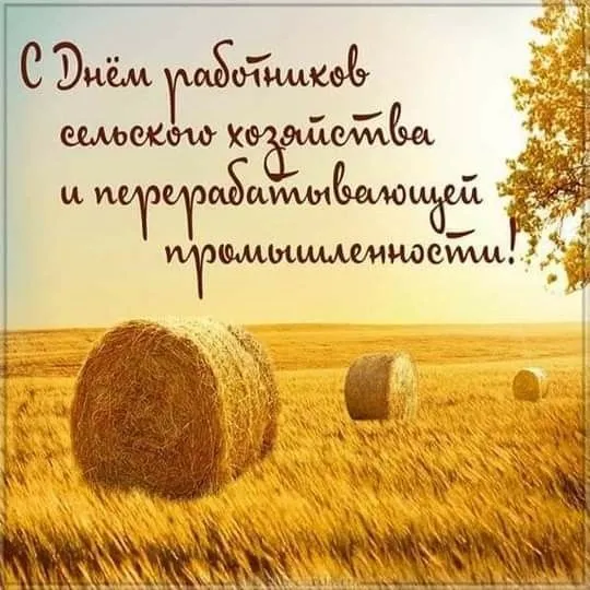 Красивые картинки с Днём работника сельского хозяйства. Красивые картинки с Днём сельского хозяйства и и перерабатывающей промышленности