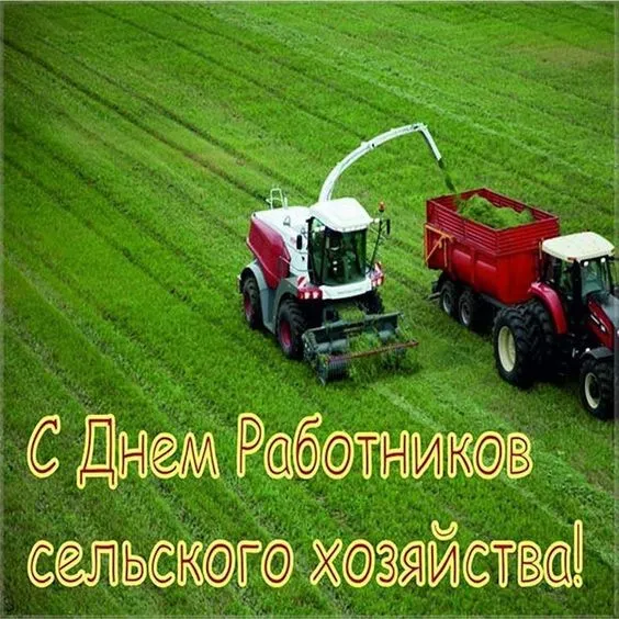Красивые картинки с Днём работника сельского хозяйства. Красивые картинки с Днём сельского хозяйства и и перерабатывающей промышленности