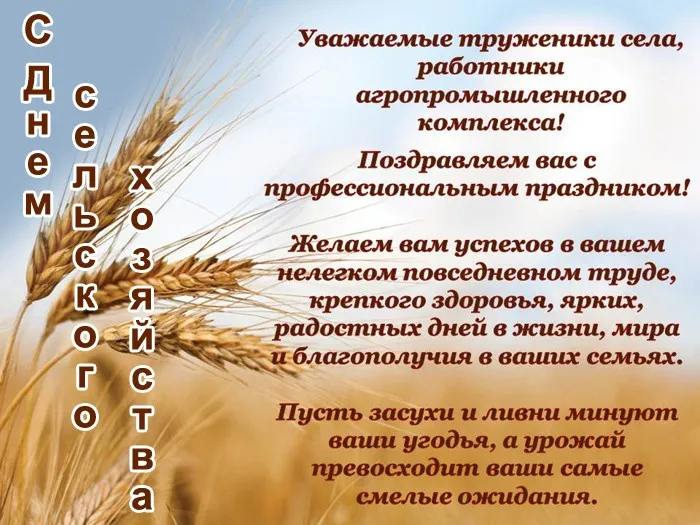 Красивые картинки с Днём работника сельского хозяйства. Картинки с Днем работника сельского хозяйства с надписями и поздравлениями