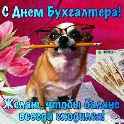 Красивые картинки с Днем бухгалтера. Прикольные картинки на День бухгалтера