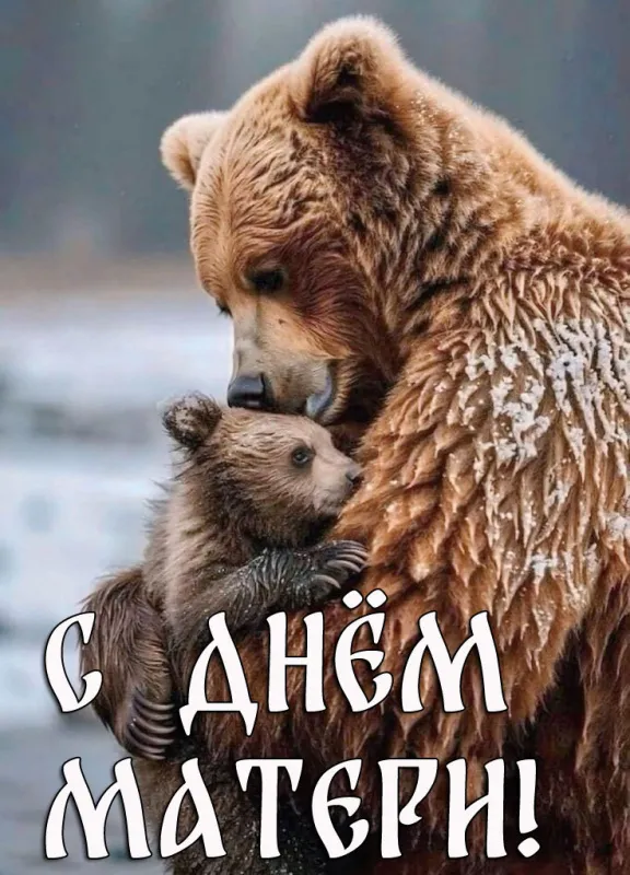 Красивые картинки с Днём Матери. Красивые картинки на День матери с цветами и животными
