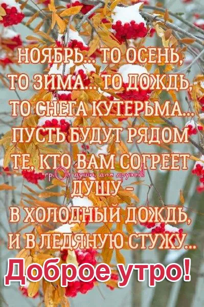 Картинки Доброе утро ноября. Доброе ноябрьское утро картинки позитивные и ободряющие