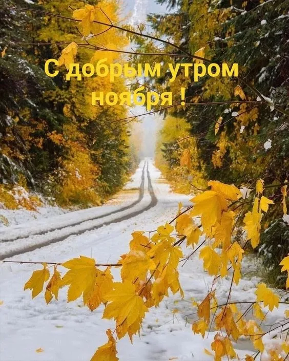 Картинки Доброе утро ноября. С Добрым утром ноября: картинки красивые и новые