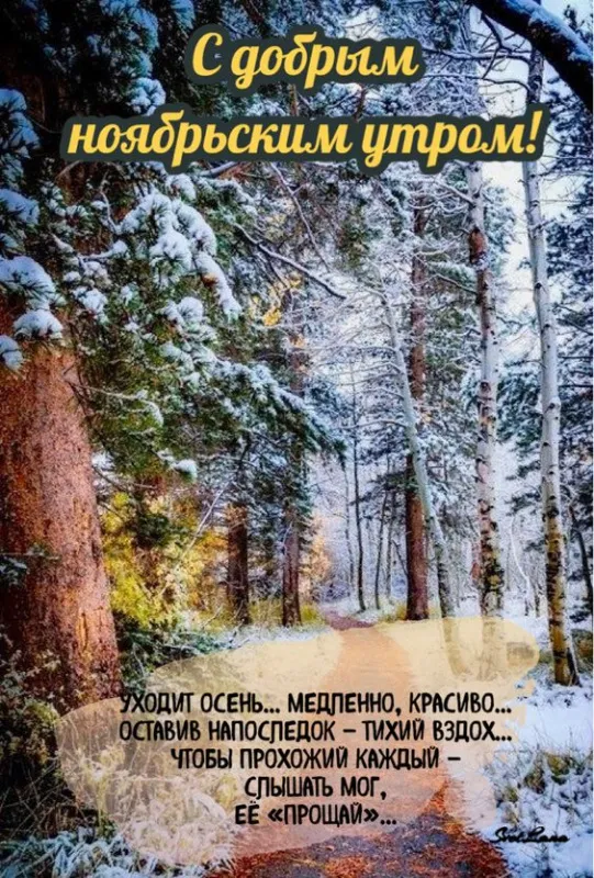 Картинки Доброе утро ноября. С Добрым утром ноября - картинки с надписями и пожеланиями