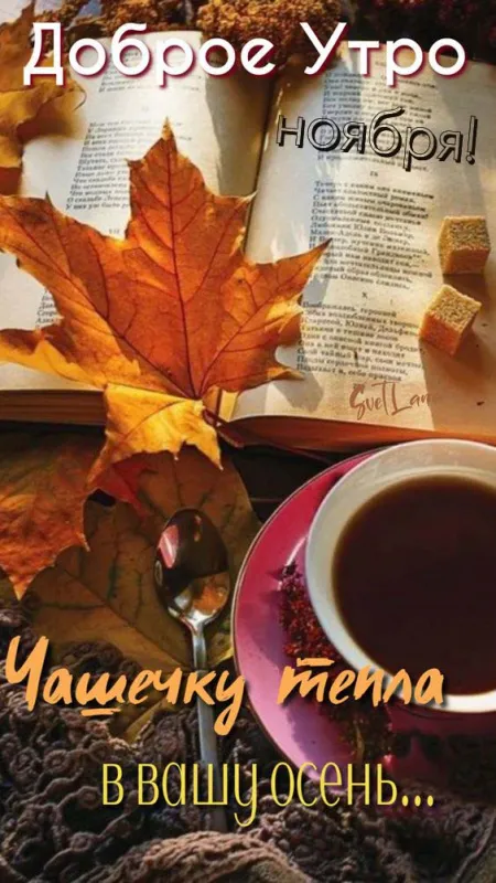 Картинки Доброе утро ноября. Доброе ноябрьское утро картинки позитивные и ободряющие