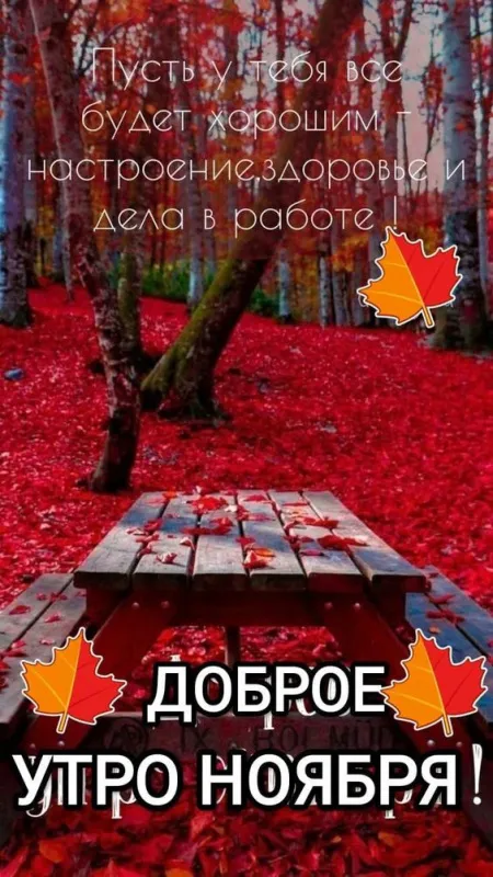 Картинки Доброе утро ноября. С Добрым утром ноября - картинки с надписями и пожеланиями