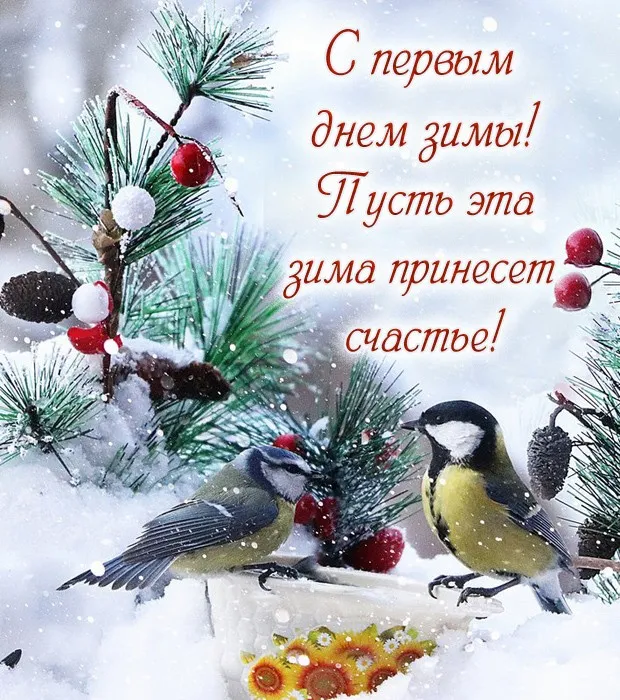 Картинки с Первым днём зимы. Картинки с надписями и пожеланиями на Первый День Зимы