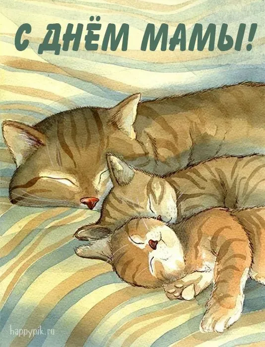 Красивые картинки с Днём Матери. Прикольные и красивые картинки с Днём матери