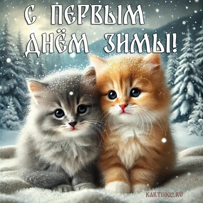 Картинки с Первым днём зимы