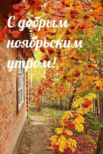 Картинки Доброе утро ноября. Осенние картинки с Добрым утром ноября