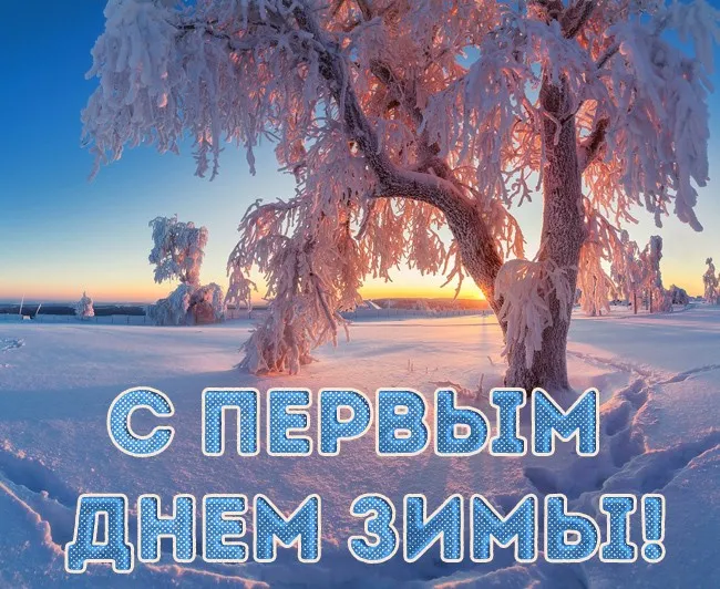 Картинки с Первым днём зимы. Красивые и новые картинки с Первым днём зимы