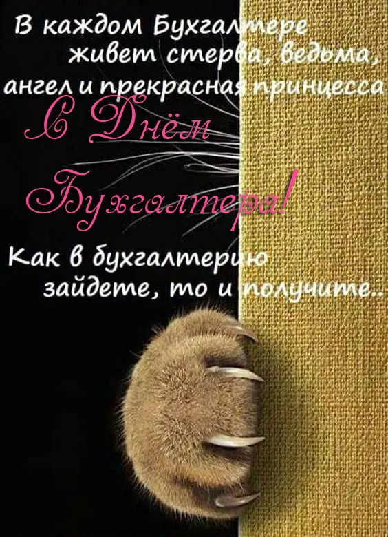 Красивые картинки с Днем бухгалтера. Прикольные картинки на День бухгалтера