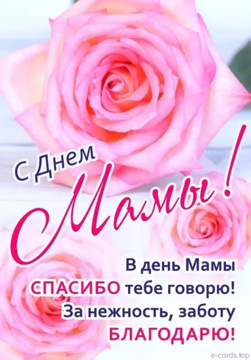 Красивые картинки с Днём Матери. Красивые поздравления на День матери в картинках