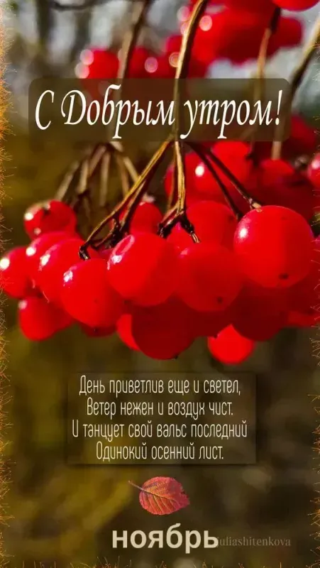Картинки Доброе утро ноября. С Добрым утром ноября - картинки с надписями и пожеланиями