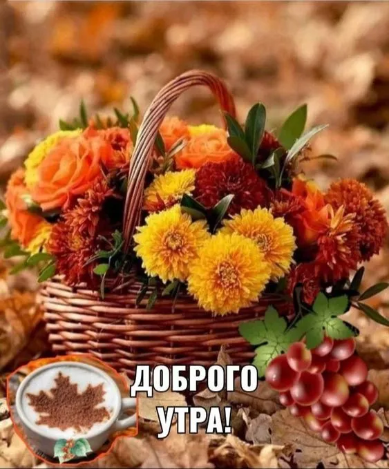 Картинки Доброе утро ноября. Осенние картинки с Добрым утром ноября