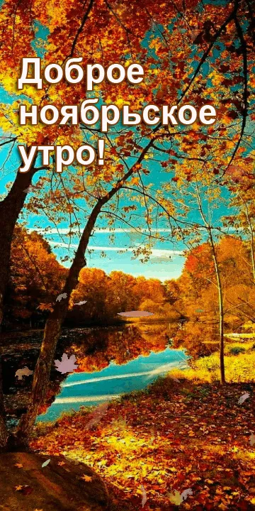 Картинки Доброе утро ноября. Осенние картинки с Добрым утром ноября