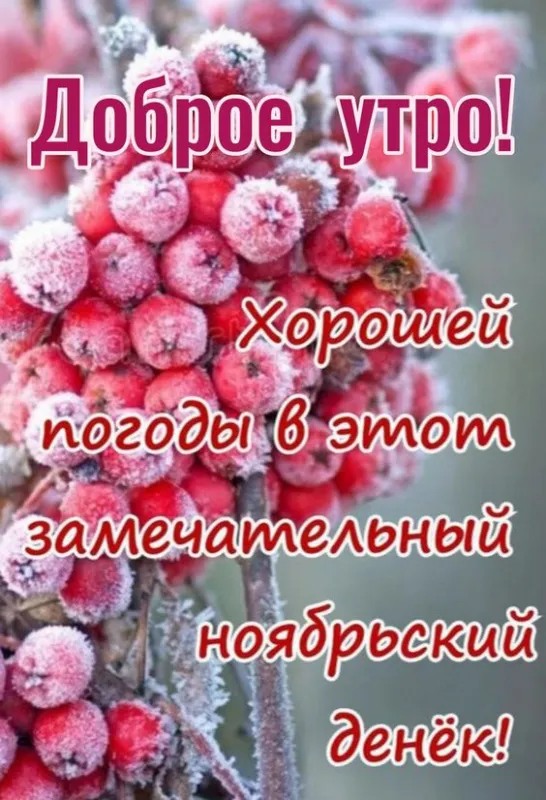 Картинки Доброе утро ноября. С Добрым утром ноября - картинки с надписями и пожеланиями