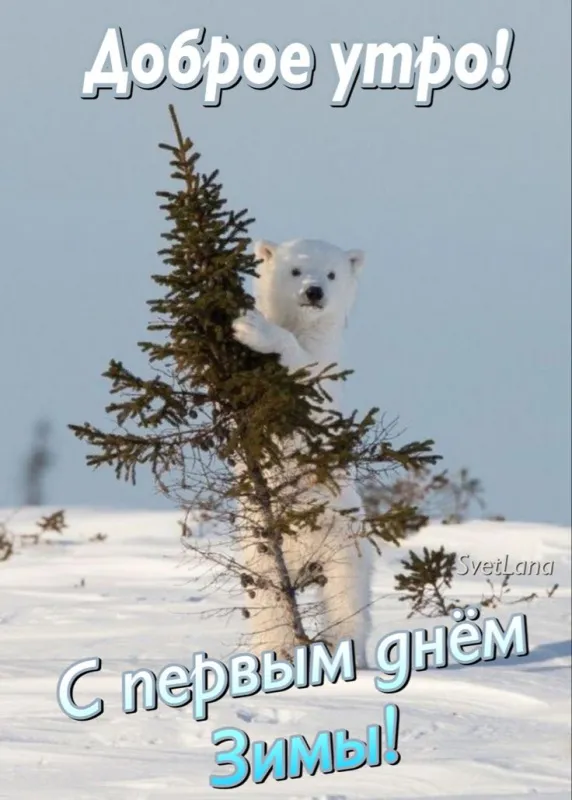 Картинки с Первым днём зимы. Красивые картинки с Добрым утром на первый день зимы