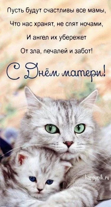 Красивые картинки с Днём Матери. Красивые картинки на День матери с цветами и животными