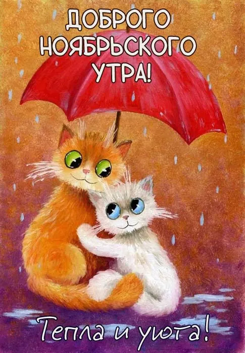 Картинки Доброе утро ноября. Доброе ноябрьское утро картинки позитивные и ободряющие