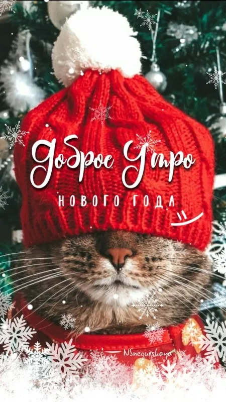 Картинки с добрым утром Нового года. Красивые новогодние картинки с добрым утром 1 января