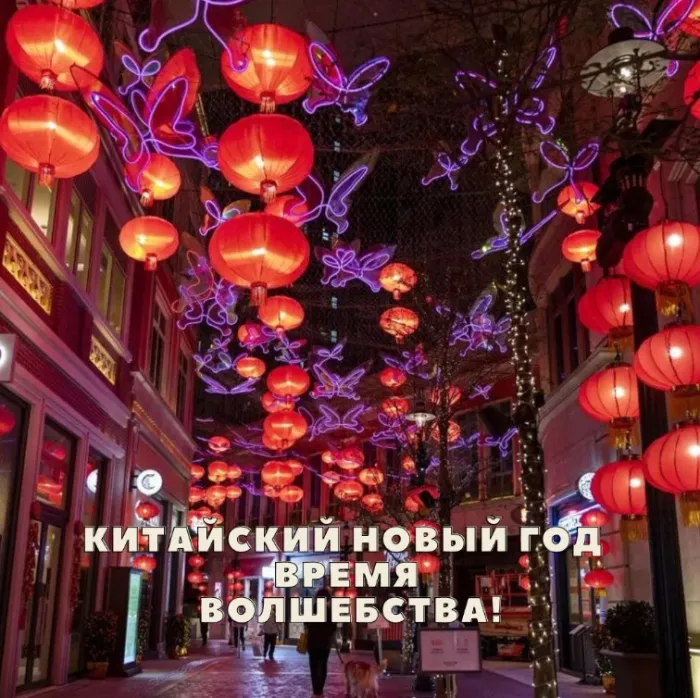 Картинки на Китайский Новый год. Красивые картинки на Китайский Новый год 2025