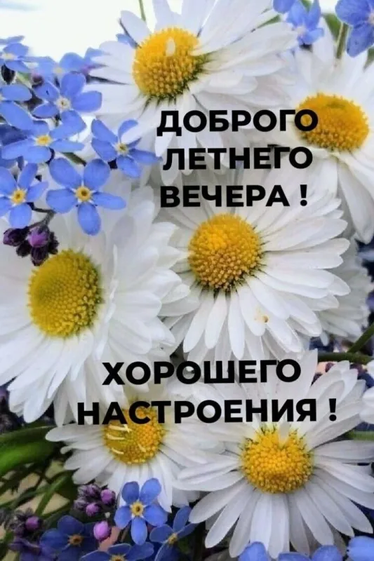Добрый летний вечер — красивые картинки и открытки. Добрый вечер — картинки летние
