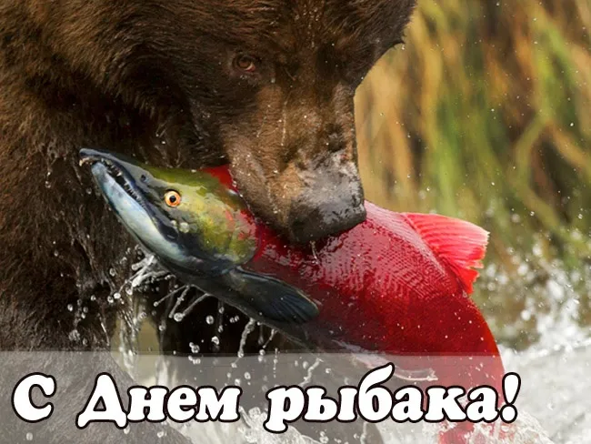 Картинки и открытки с Днём рыбака — скачать бесплатно. Красивые картинки с Днем рыбака — скачать бесплатно