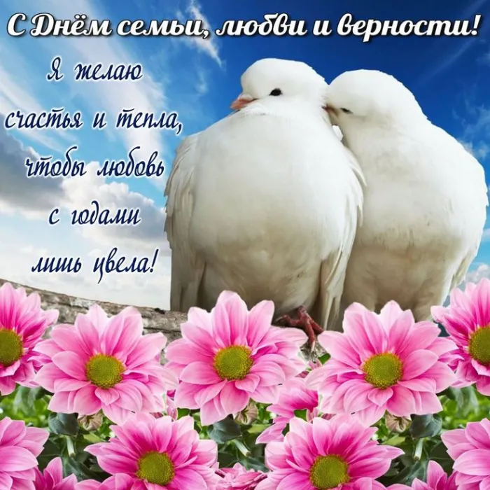 Картинки и открытки ко Дню семьи, любви и верности — 8 июля. День семьи, любви и верности: красивые картинки и открытки