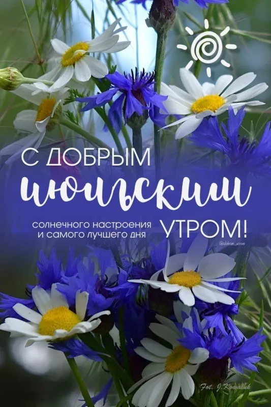 Доброе июльское утро — красивые открытки и картинки с пожеланиями. Доброе июльское утро — красивые картинки с надписями и пожеланиями