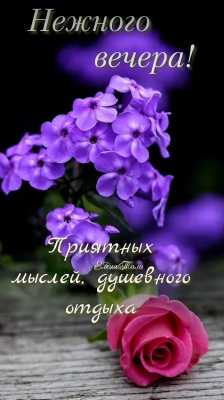 Добрый летний вечер — красивые картинки и открытки. Добрый летний вечер: картинки с летними пожеланиями