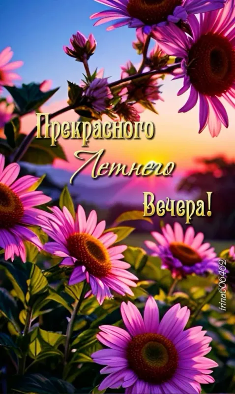 Добрый летний вечер — красивые картинки и открытки. Картинки и открытки "Добрый летний вечер" — скачать бесплатно