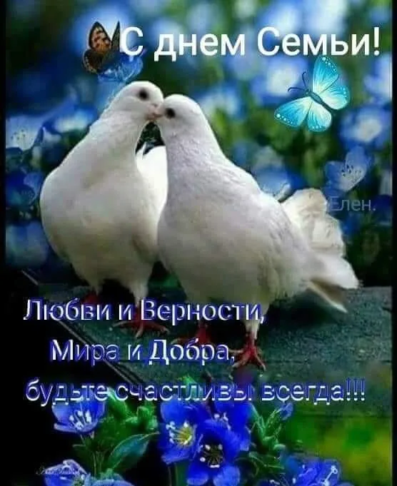 Картинки и открытки ко Дню семьи, любви и верности — 8 июля. День семьи, любви и верности: красивые картинки и открытки