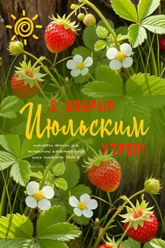 Доброе июльское утро — красивые открытки и картинки с пожеланиями. Доброе июльское утро — красивые картинки с надписями и пожеланиями