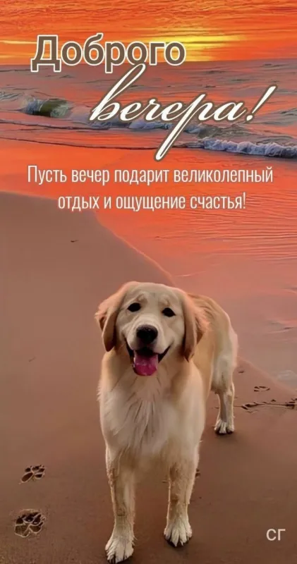 Добрый летний вечер — красивые картинки и открытки. Добрый летний вечер: картинки с летними пожеланиями