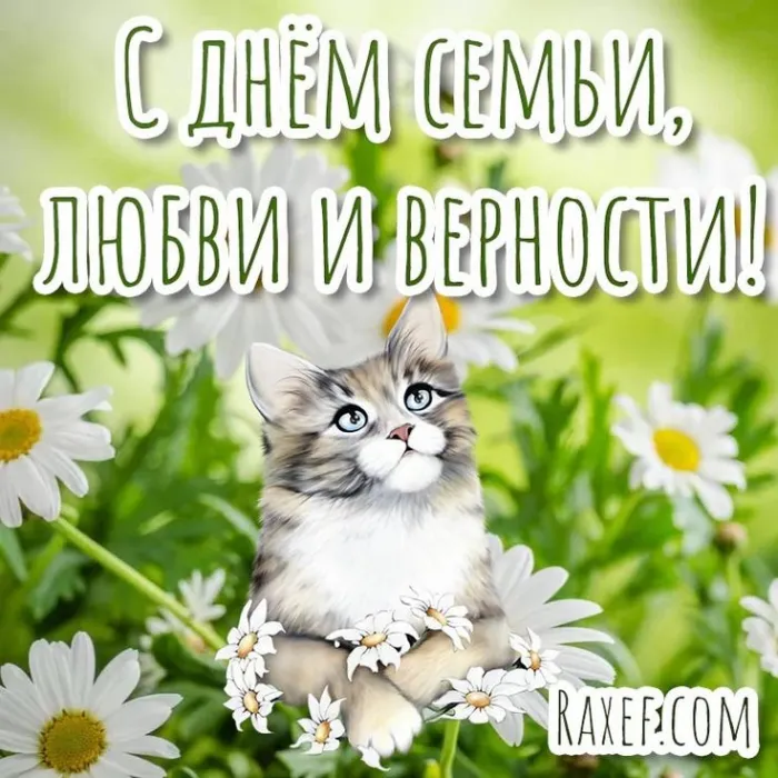 Картинки и открытки ко Дню семьи, любви и верности — 8 июля. Прикольные картинки на День семьи, любви и верности