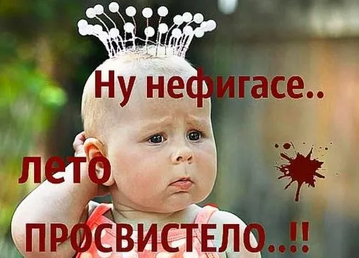 Картинки «С последним днем лета» 2025. Прикольные открытки «С последним днём лета»