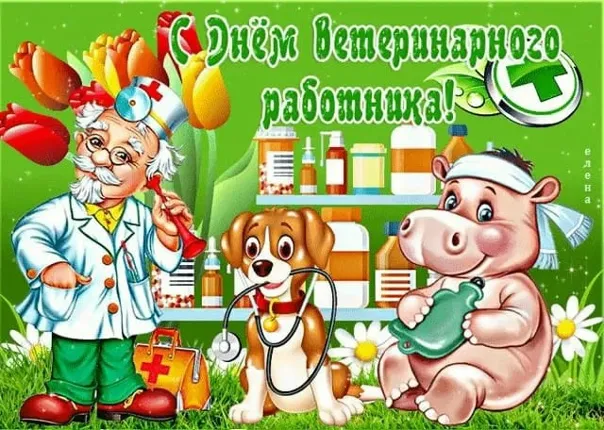 Красивые и новые картинки с Днём ветеринарного работника (35+ штук). Прикольные картинки с Днем ветеринарного работника (День ветеринара)