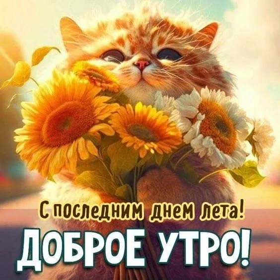Картинки «С последним днем лета» 2025. Доброе утро — С последним днём лета