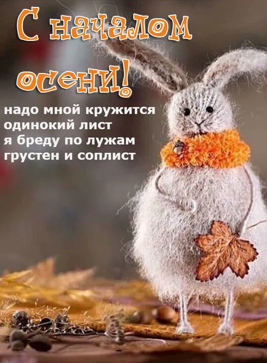 Открытки и картинки С первым днём осени — скачать бесплатно. Прикольные картинки С первым днём осени
