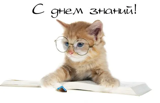 Открытки и картинки «Первый раз в первый класс»: 1 сентября. Прикольные и смешные картинки для первоклассников (1 сентября)