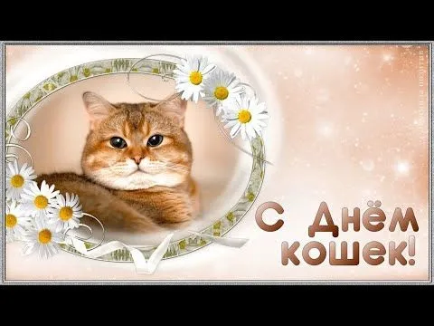 Картинки и открытки на Всемирный день кошек — скачать лучшие изображения. Красивые открытки на Всемирный день кошек — подборка 2025