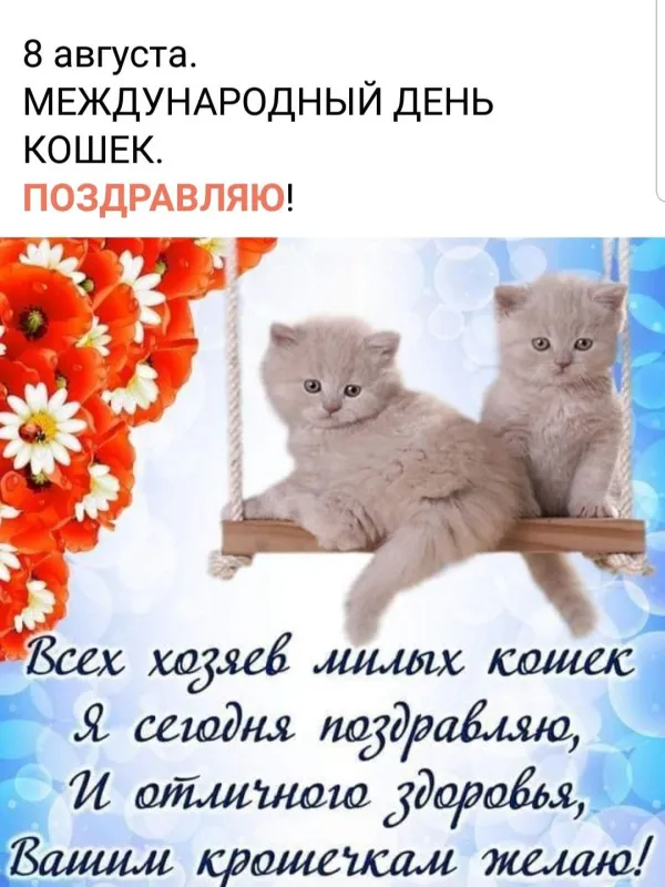 Картинки и открытки на Всемирный день кошек — скачать лучшие изображения. С Днём кошек: картинки с надписями и пожеланиями