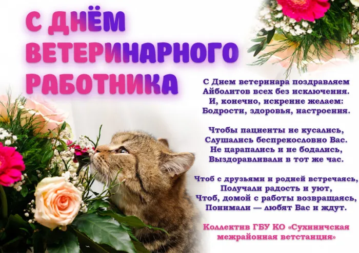Красивые и новые картинки с Днём ветеринарного работника (35+ штук). Картинки с надписями и поздравлениями на День ветеринарного работника
