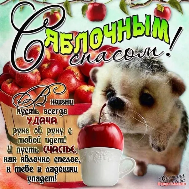 Картинки и открытки на Яблочный Спас с поздравлениями — скачать бесплатно. С Яблочным Спасом: красивые картинки с пожеланиями