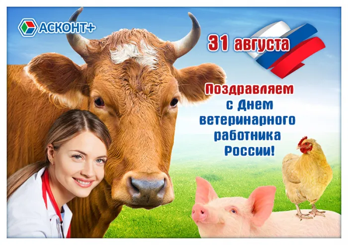 Красивые и новые картинки с Днём ветеринарного работника (35+ штук). Красивые картинки с Днем ветеринарного работника (День ветеринара)