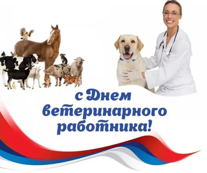 Красивые и новые картинки с Днём ветеринарного работника (35+ штук). Красивые картинки с Днем ветеринарного работника (День ветеринара)