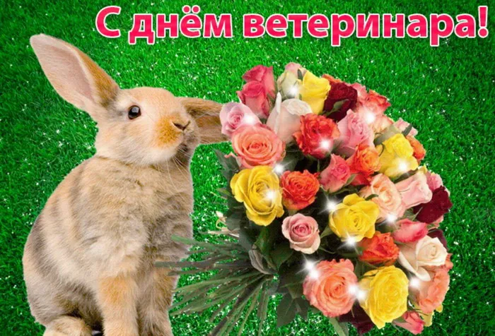 Красивые и новые картинки с Днём ветеринарного работника (35+ штук). Красивые картинки с Днем ветеринарного работника (День ветеринара)