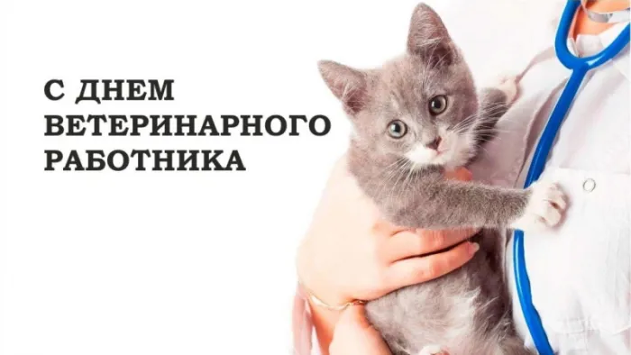 Красивые и новые картинки с Днём ветеринарного работника (35+ штук). Красивые картинки с Днем ветеринарного работника (День ветеринара)